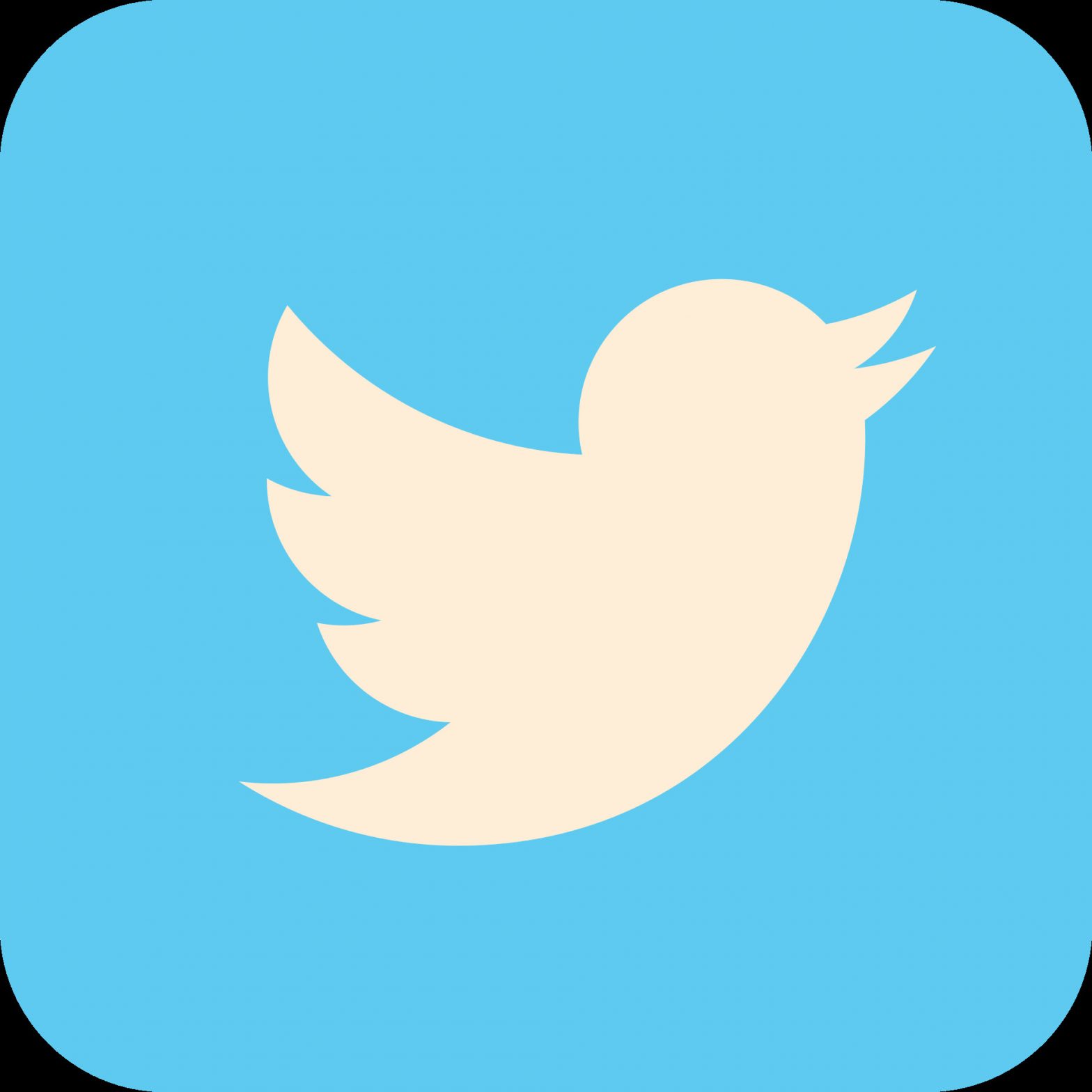 Comment utiliser la recherche avancée Twitter ? Trouver des tweets, des hashtags et plus encore